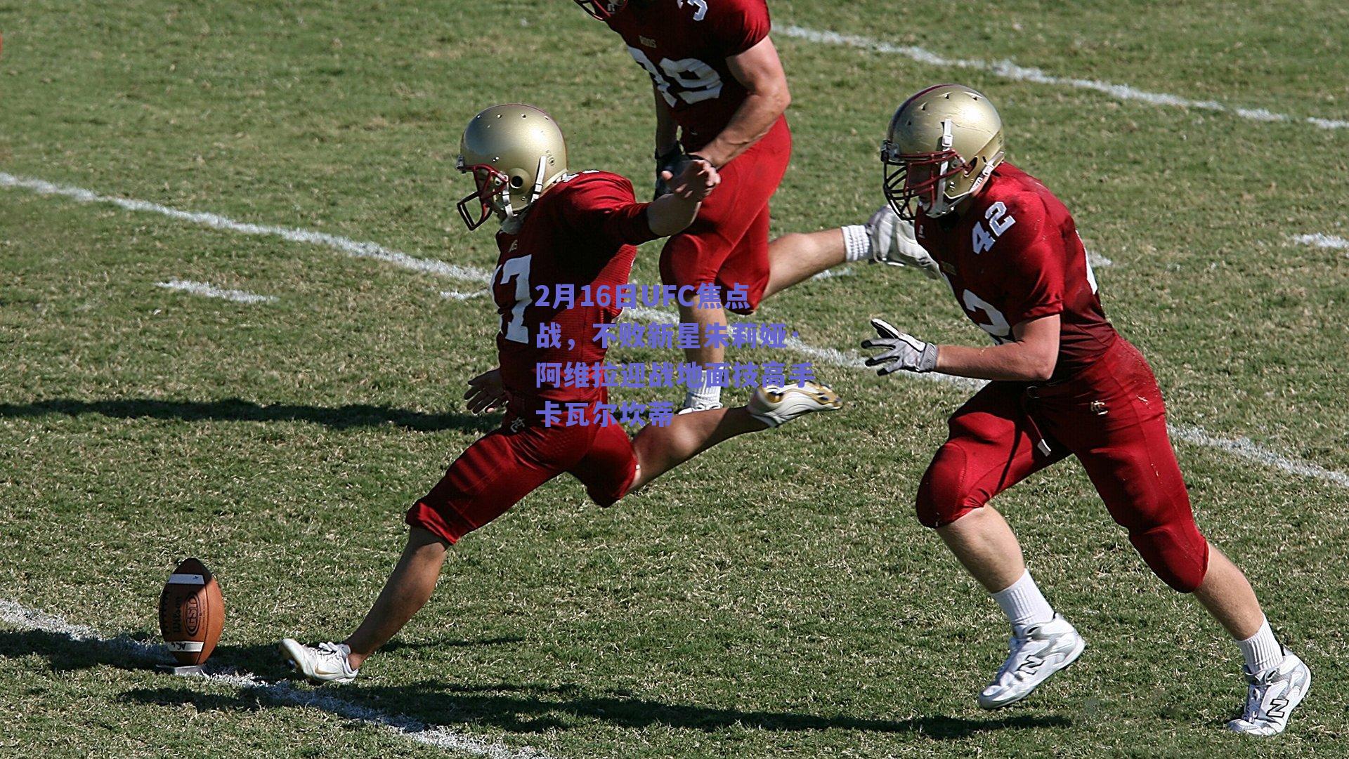 2月16日UFC焦点战,不败新星朱莉娅·阿维拉迎战地面技高手卡瓦尔坎蒂