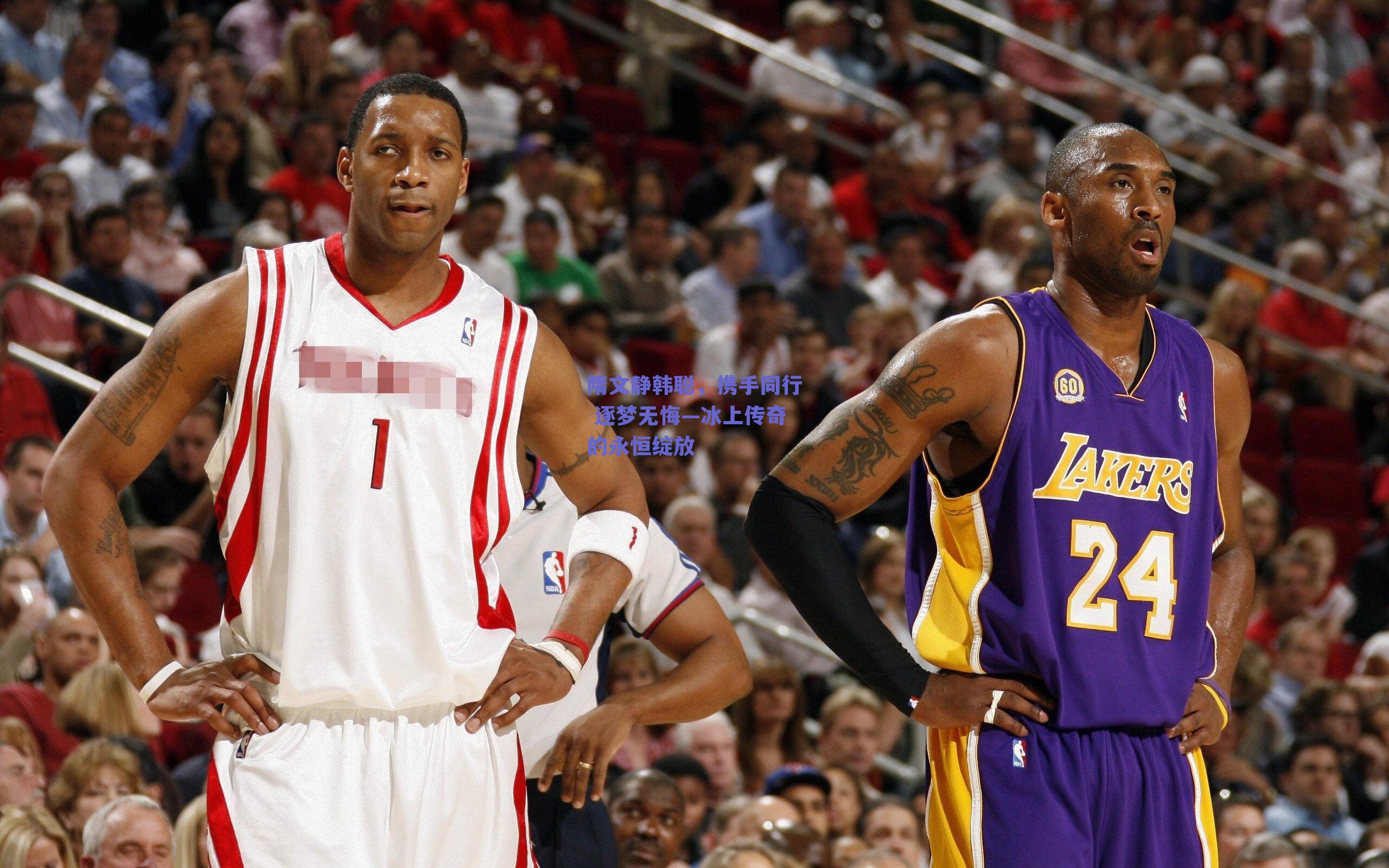 隋文静韩聪,携手同行 逐梦无悔—冰上传奇的永恒绽放