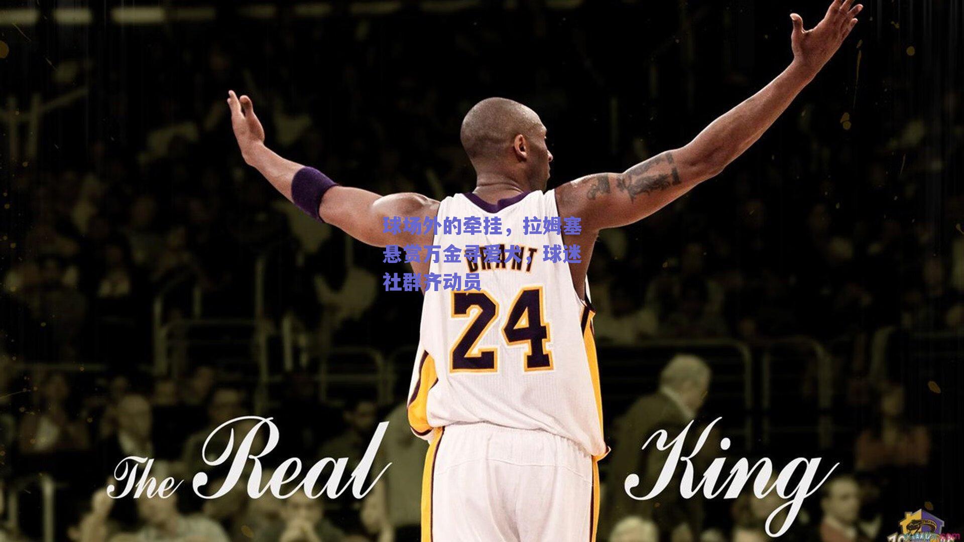 球场外的牵挂，拉姆塞悬赏万金寻爱犬，球迷社群齐动员